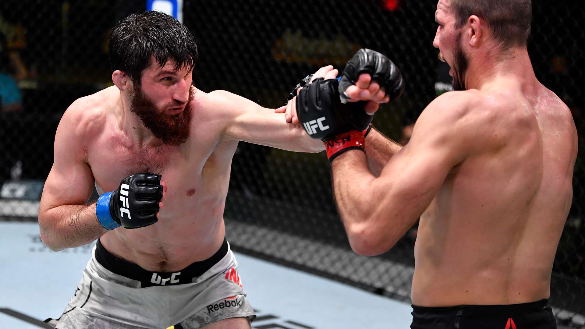 员的培养 员的培养