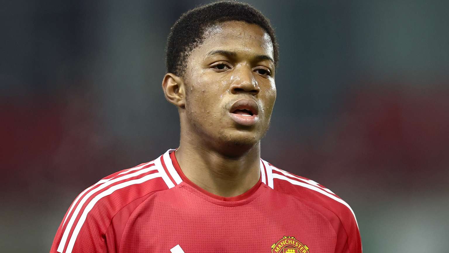 人关注到哈 人关注到哈